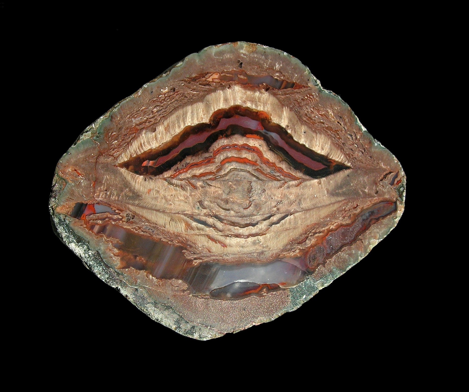 Tranche d'agate de l'Esterel aux bandes concentriques colorées, variété de calcédoine (quartz microcristallin) utilisée en joaillerie