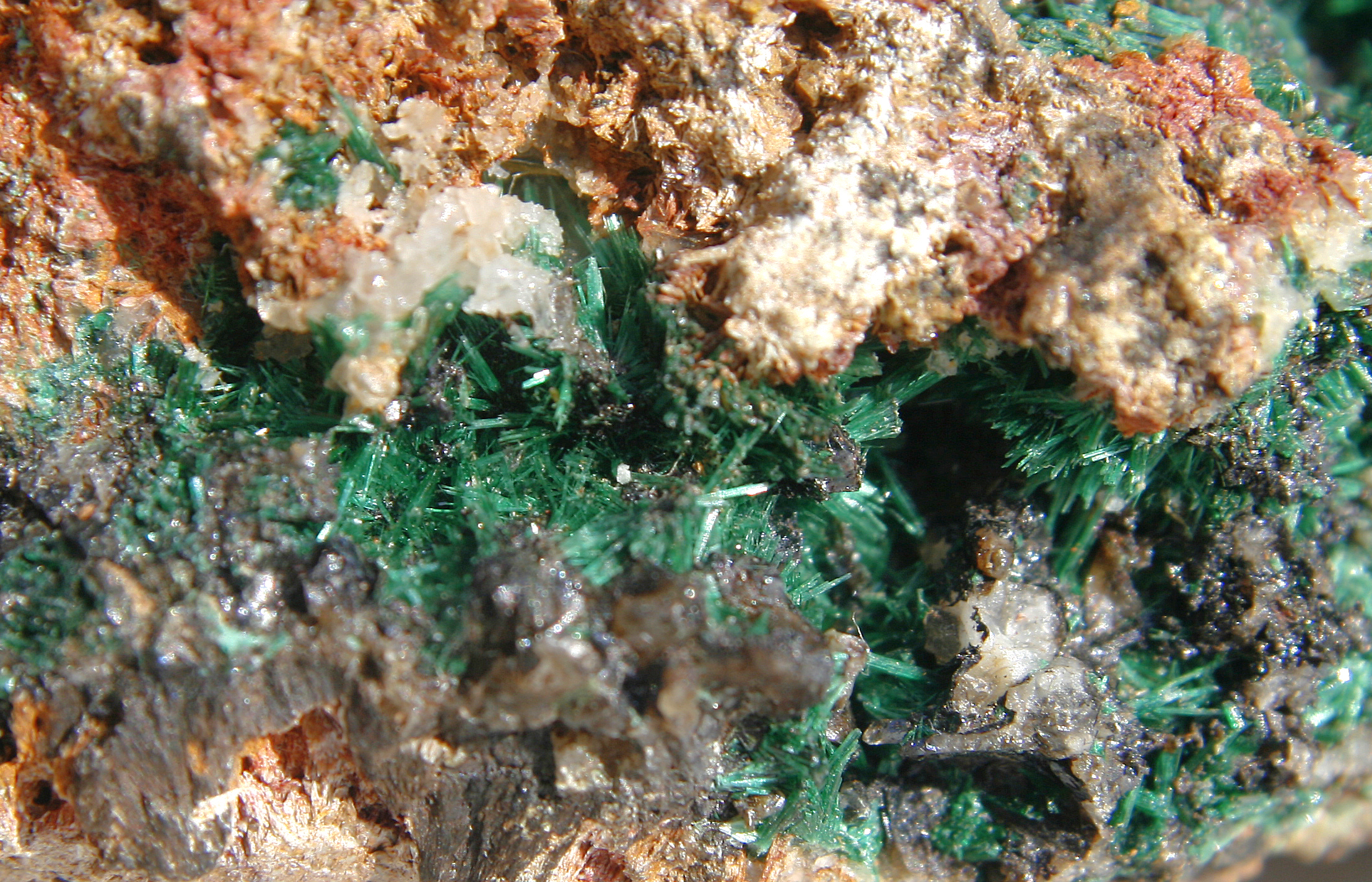 Malachite brute aux bandes concentriques vert clair et vert foncé, carbonate de cuivre utilisé en joaillerie d'ornement